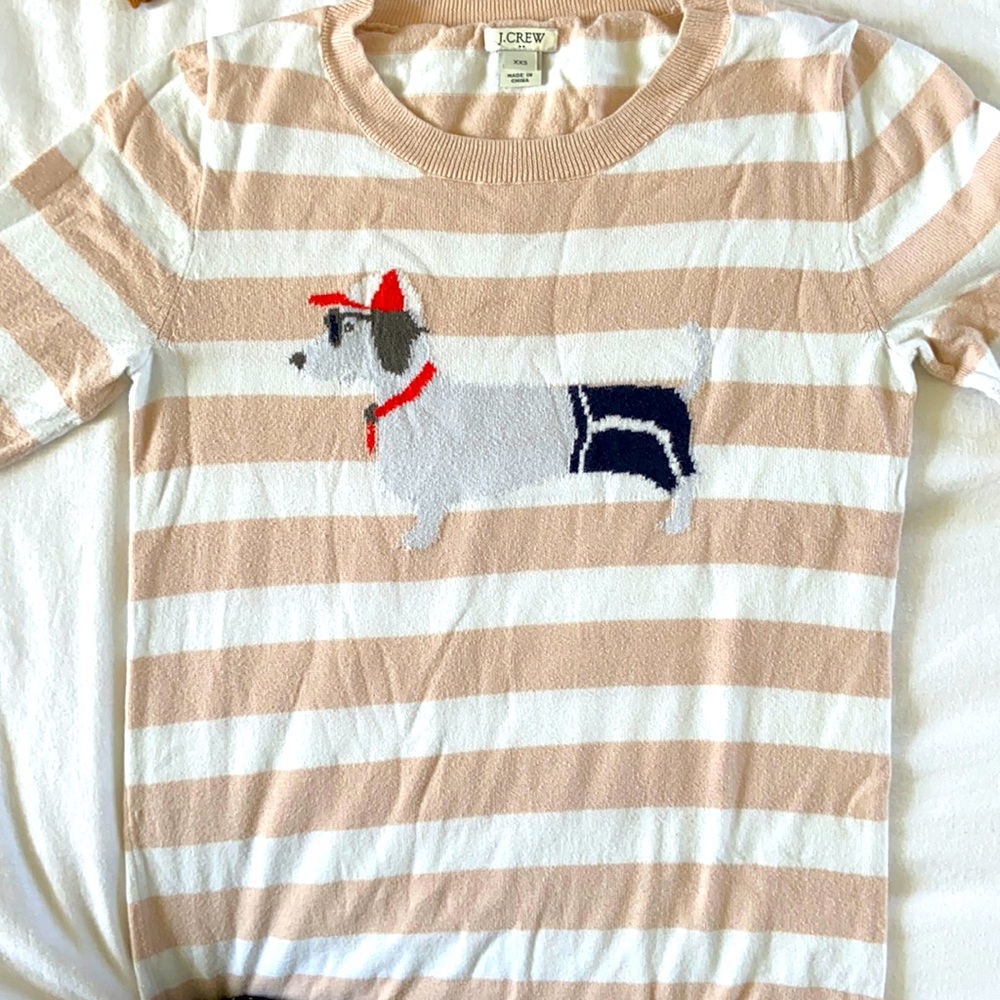 JCrew puppy sweater